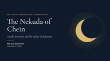 The Nekuda of Chein cover