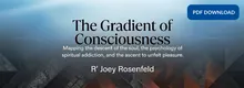 The Gradient of Consciousness cover