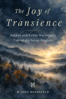 The Joy of Transience cover